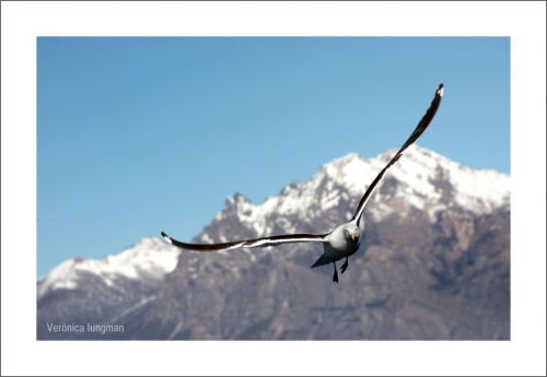 Fotografia de Vernica Iungman - Galeria Fotografica: Fotografas - Foto: 