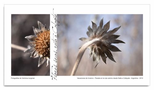 Fotografia de Vernica Iungman - Galeria Fotografica: Fotografas - Foto: 