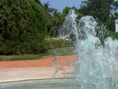 Fotografia de Barbara Photo - Galeria Fotografica: Naturaleza - Foto: Bosques de Palermo