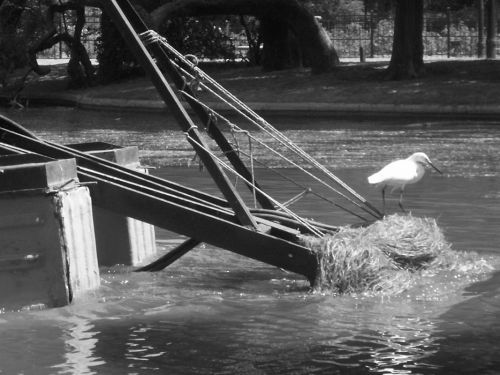 Fotografia de Barbara Photo - Galeria Fotografica: Naturaleza - Foto: Bosques de Palermo