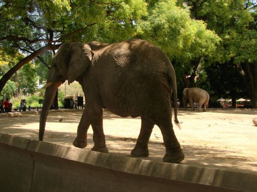 Fotografia de Barbara Photo - Galeria Fotografica: Naturaleza - Foto: Zoo