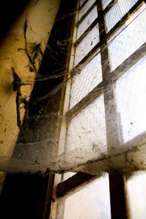 Fotografia de nicoletta acerbi - Galeria Fotografica: Ausencias - Foto: 