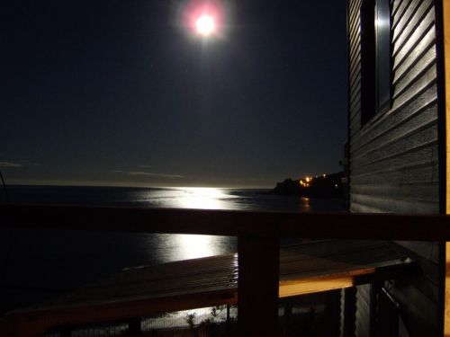 Fotografia de Cadus - Galeria Fotografica: Naturaleza - Foto: 