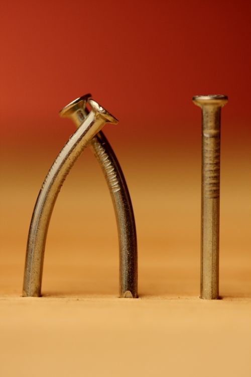 Fotografia de perillon75 - Galeria Fotografica: mariquita - Foto: flechazo