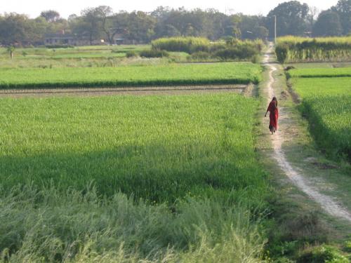 Fotografia de Anna - Galeria Fotografica: india - Foto: 