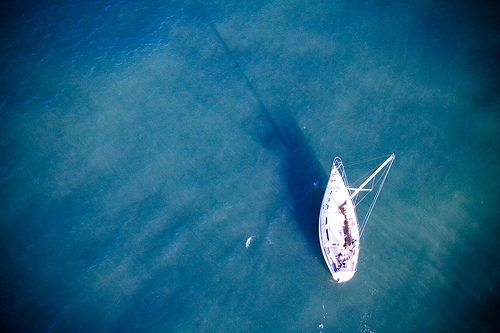 Fotografia de Joe Alans - Galeria Fotografica: Portfolio - Foto: 