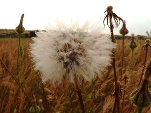 Fotografia de santiago vara lopez - Galeria Fotografica: extremadamente-dura - Foto: ABUELITO