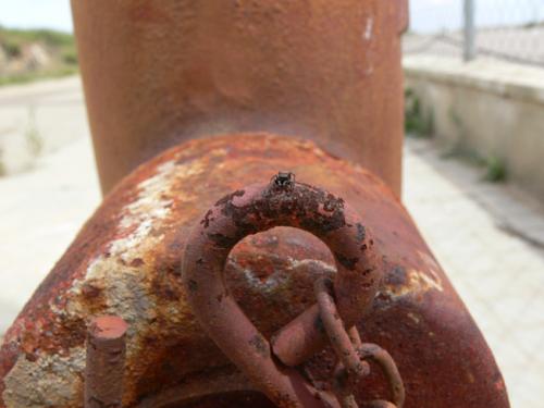 Fotografia de santiago vara lopez - Galeria Fotografica: extremadamente-dura - Foto: ARAA