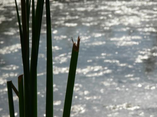 Fotografia de santiago vara lopez - Galeria Fotografica: extremadamente-dura - Foto: BAMB