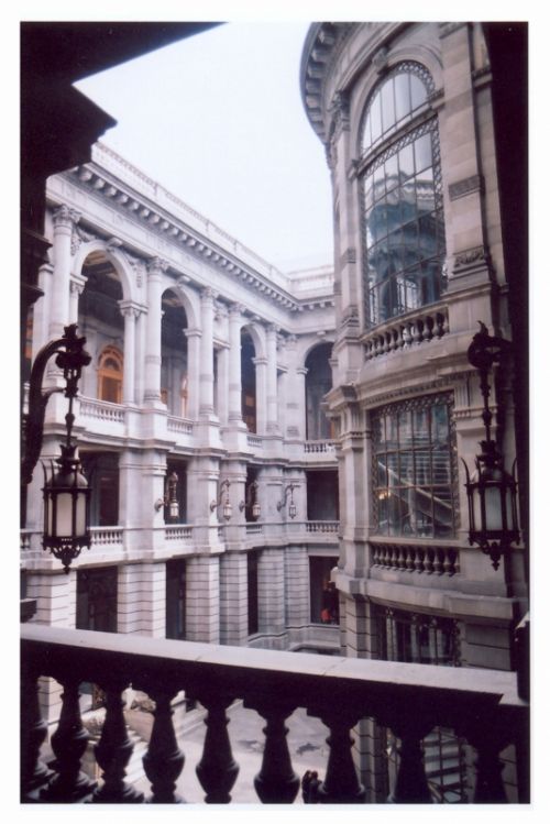 Fotografia de JOSE RUBEN - Galeria Fotografica: FLORES - Foto: 