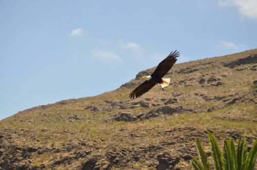 Fotografia de ingenioso - Galeria Fotografica: naturaleza diversa - Foto: Parmitos park