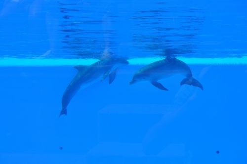 Fotografia de ingenioso - Galeria Fotografica: naturaleza diversa - Foto: 