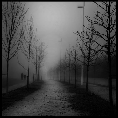 Fotografia de RAQUEL - Galeria Fotografica: NIEBLA - Foto: Luz en las tinieblas