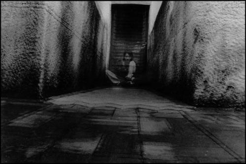 Fotografia de Sin Nombre - Galeria Fotografica: Ser Joven - Foto: buscar el camino