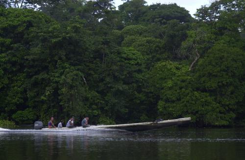 Fotografia de imagenes foto - Galeria Fotografica: Tortugero - Foto: 