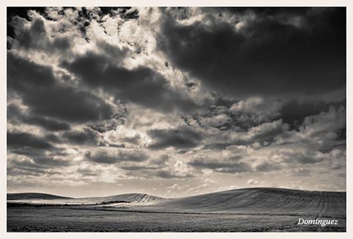 Fotografia de Javier Domnguez - Galeria Fotografica: Sepia - Foto: 