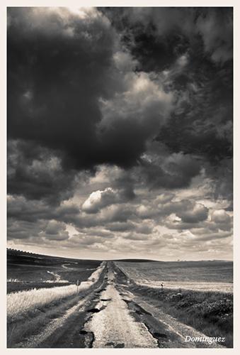 Fotografia de Javier Domnguez - Galeria Fotografica: Sepia - Foto: 