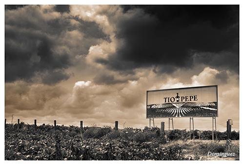 Fotografia de Javier Domnguez - Galeria Fotografica: Sepia - Foto: 