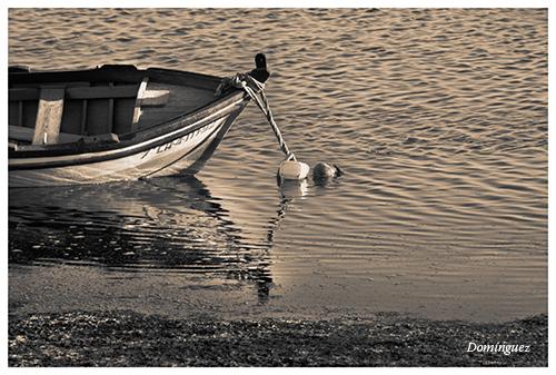 Fotografia de Javier Domnguez - Galeria Fotografica: Sepia - Foto: 