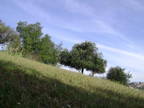 Fotografia de xxamanecerxx - Galeria Fotografica: Paisaje. - Foto: Otra Perpectiva.