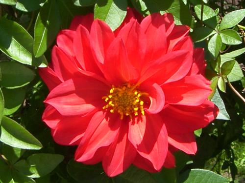 Fotografia de n/a - Galeria Fotografica: Clouds.....paradise in de sky - Foto: 								