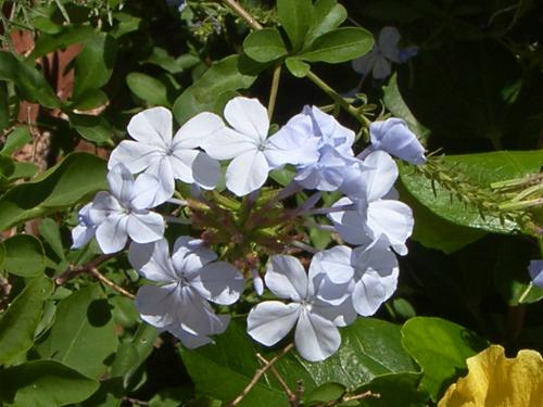 Fotografia de n/a - Galeria Fotografica: Clouds.....paradise in de sky - Foto: 								