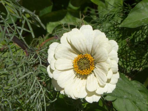 Fotografia de n/a - Galeria Fotografica: Clouds.....paradise in de sky - Foto: 								