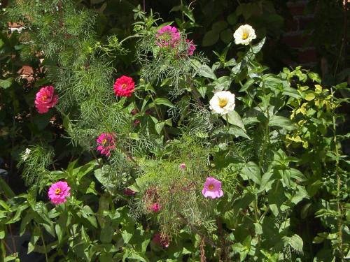 Fotografia de n/a - Galeria Fotografica: Clouds.....paradise in de sky - Foto: 								