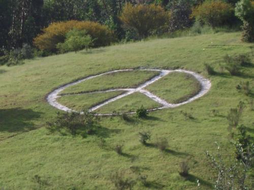 Fotografia de xxamanecerxx - Galeria Fotografica: Paisaje. - Foto: Paz.