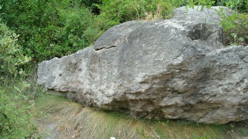 Fotografia de Osva - Galeria Fotografica: mama, !Quiero ser fotografo - Foto: El caiman de piedra