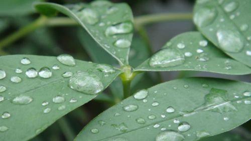 Fotografia de ingenioso - Galeria Fotografica: FOTOS VARIADAS - Foto: 