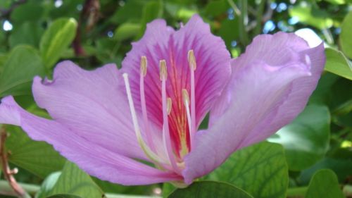 Fotografia de ingenioso - Galeria Fotografica: FOTOS VARIADAS - Foto: 