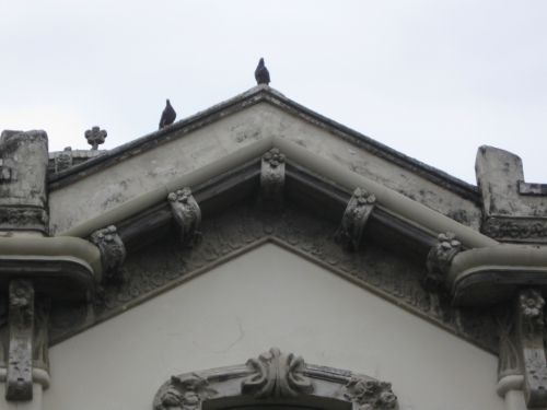 Fotografia de jose - Galeria Fotografica: Detalles - Foto: Palomas