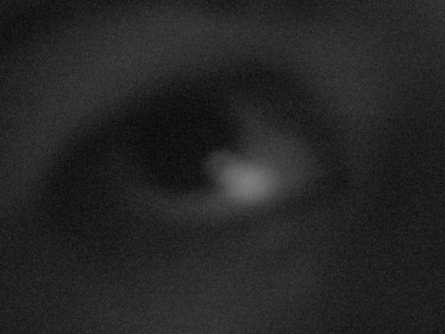 Fotografia de jose - Galeria Fotografica: Detalles - Foto: Me miras.