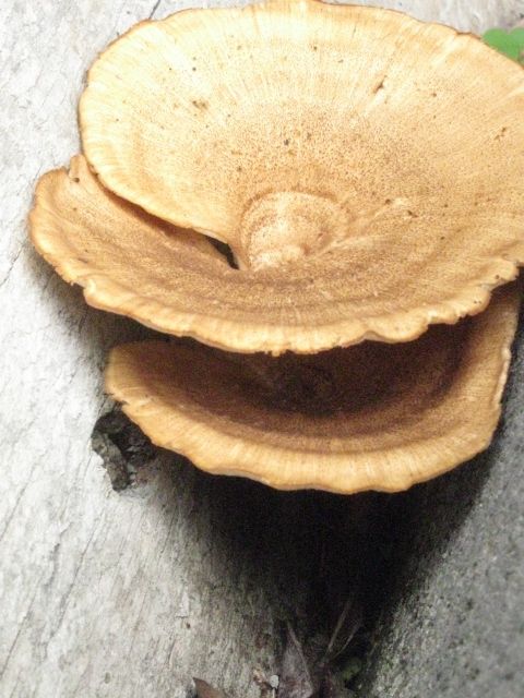 Fotografia de jose - Galeria Fotografica: Naturaleza - Foto: 