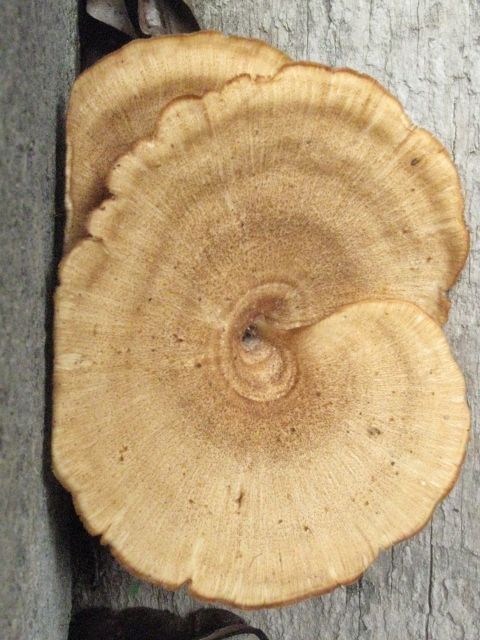 Fotografia de jose - Galeria Fotografica: Naturaleza - Foto: 