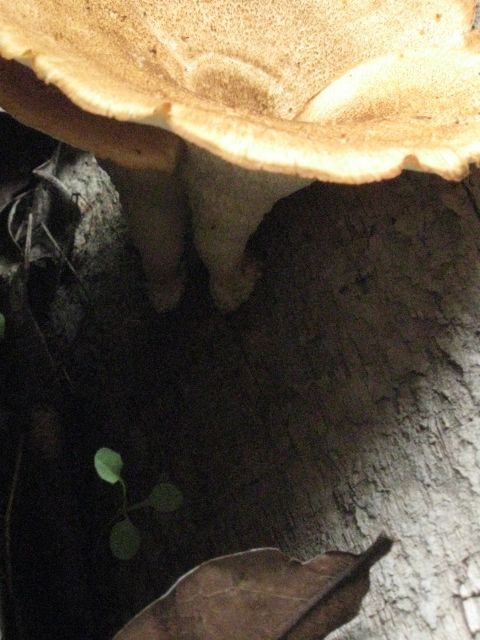 Fotografia de jose - Galeria Fotografica: Naturaleza - Foto: 