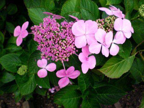 Fotografia de noemi09 - Galeria Fotografica: Momentos Relax - Foto: Gales