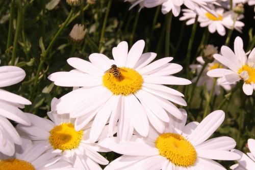 Fotografia de noemi09 - Galeria Fotografica: Momentos Relax - Foto: 