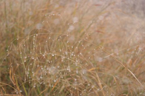 Fotografia de noemi09 - Galeria Fotografica: Momentos Relax - Foto: 