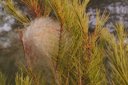 Fotografia de noemi09 - Galeria Fotografica: Momentos Relax - Foto: 