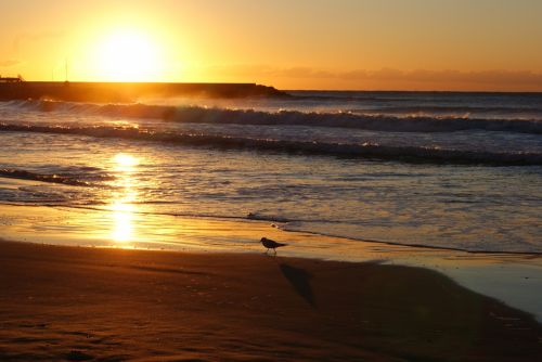 Fotografia de noemi09 - Galeria Fotografica: Momentos Relax - Foto: 