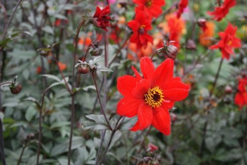 Fotografia de noemi09 - Galeria Fotografica: Momentos Relax - Foto: 