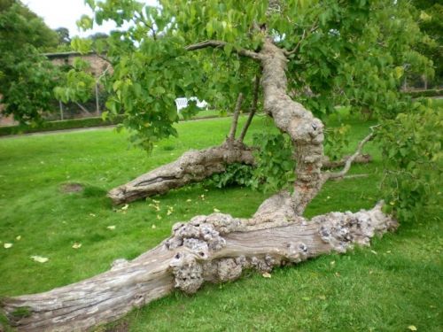 Fotografia de noemi09 - Galeria Fotografica: Momentos Relax - Foto: 