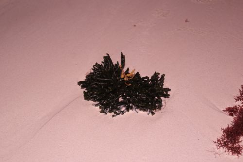 Fotografia de noemi09 - Galeria Fotografica: Momentos Relax - Foto: 