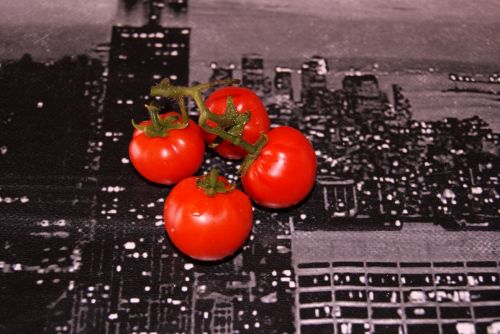 Fotografia de noemi09 - Galeria Fotografica: Momentos Relax - Foto: 