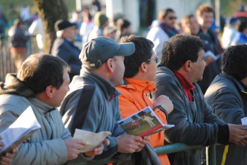 Fotografia de Trauko - Galeria Fotografica: Club H�pico - Foto: Apostadores