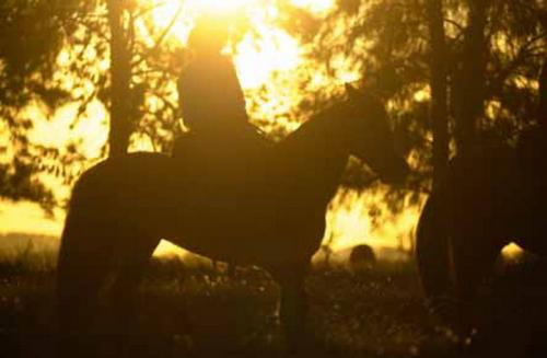 Fotografia de Leo - Galeria Fotografica: Banco de imagenes - Foto: 