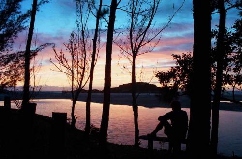 Fotografia de Leo - Galeria Fotografica: Banco de imagenes - Foto: 