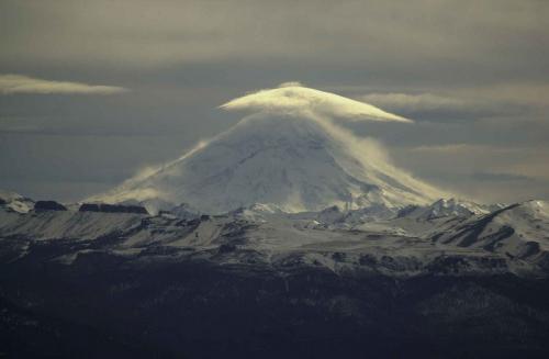 Fotografia de Leo - Galeria Fotografica: Banco de imagenes - Foto: 